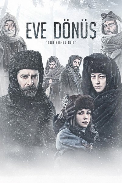 Póster de The Long Way Home