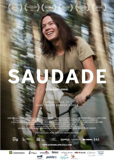 Póster de The Longing