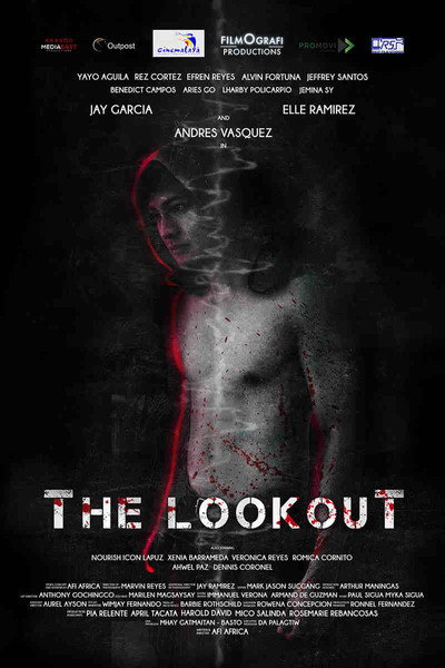 Póster de The Lookout