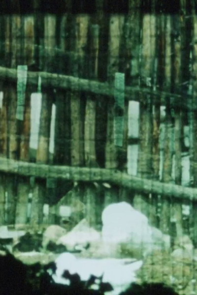 Póster de The Loom