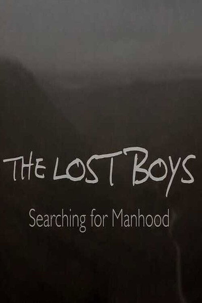 Póster de The Lost Boys: Searching for Manhood