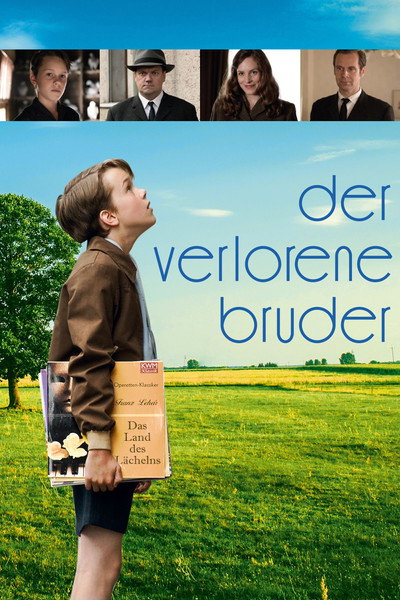 Póster de The Lost Brother