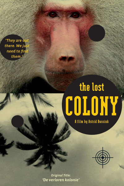Póster de The Lost Colony