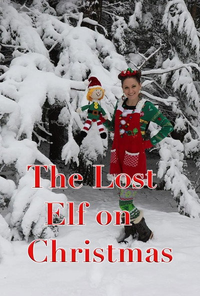 Póster de The Lost Elf on Christmas