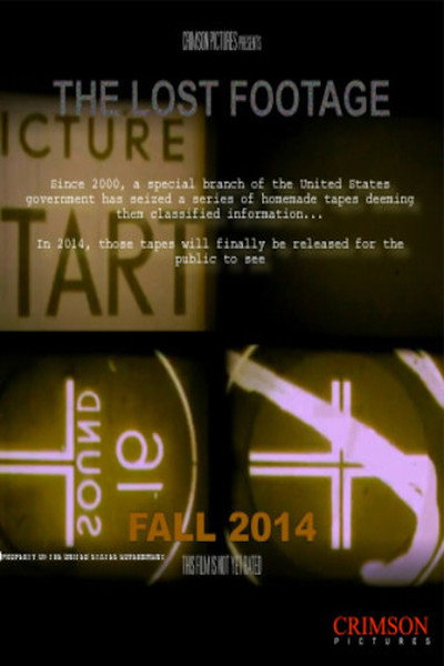 Póster de The Lost Footage