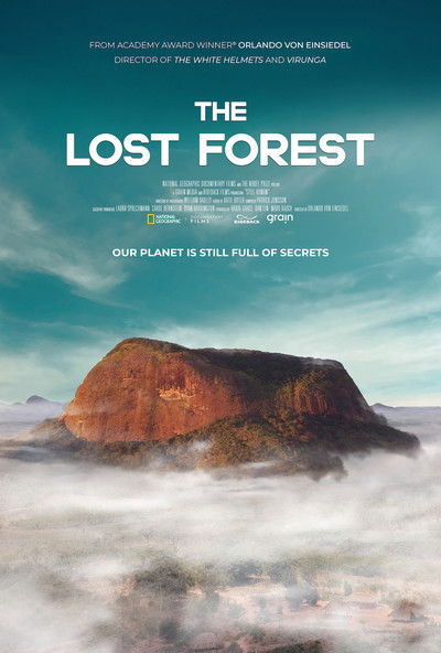 Póster de The Lost Forest