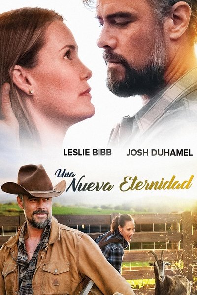 Póster de The Lost Husband