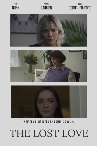Póster de The Lost Love
