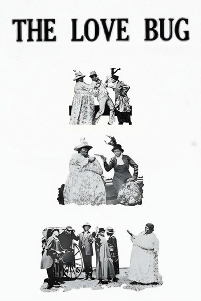 Póster de The Love Bug