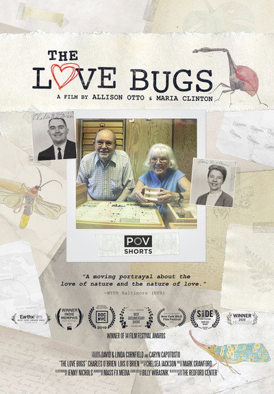 Póster de The Love Bugs