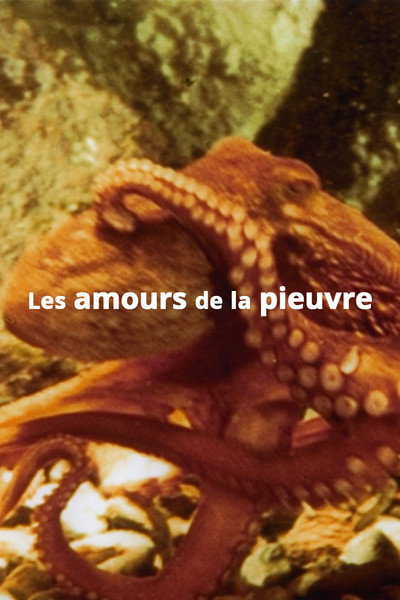 Póster de The Love Life of the Octopus