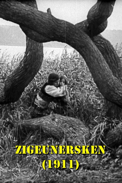 Póster de The Love of a Gypsy Girl