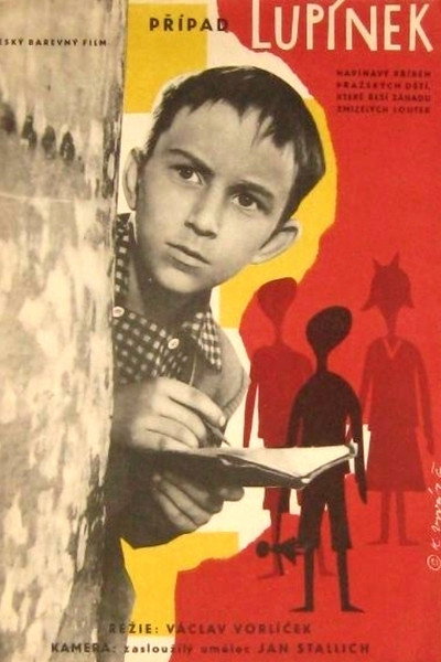 Póster de The Lupinek Case