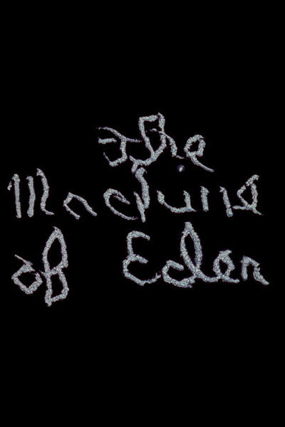 Póster de The Machine of Eden