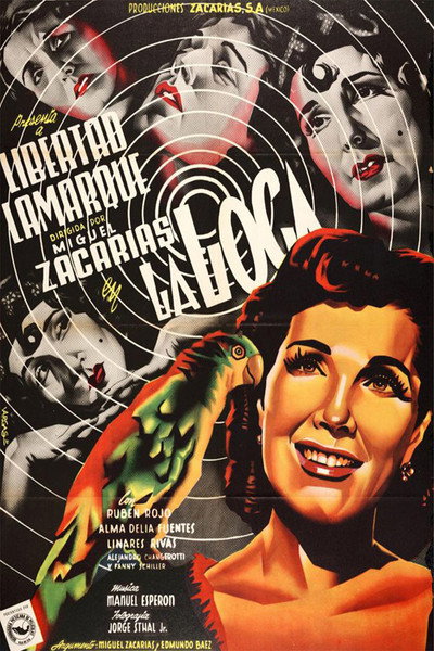 Póster de The Mad Woman