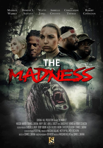 Póster de The Madness