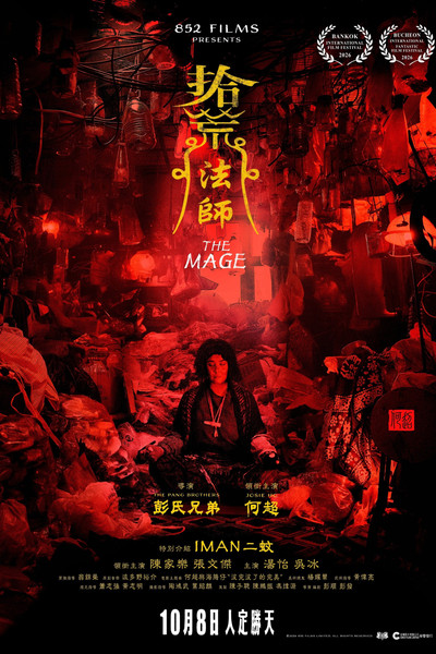 Póster de The Mage