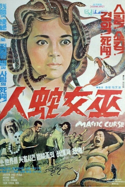 Póster de The Magic Curse
