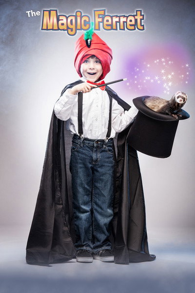 Póster de The Magic Ferret