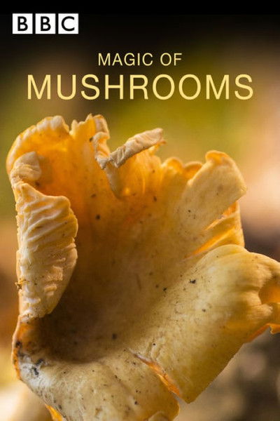 Póster de The Magic of Mushrooms