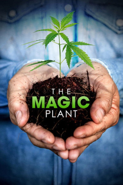 Póster de The Magic Plant