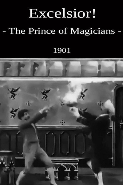 Póster de The Magician and the Human Pump
