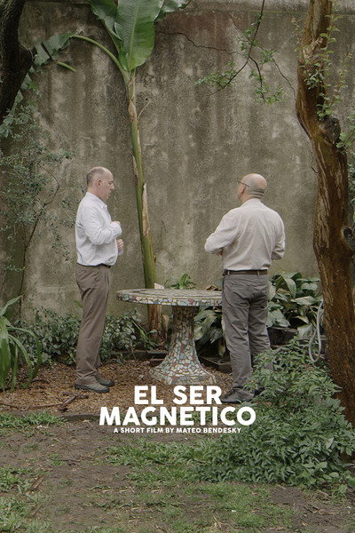 Póster de The Magnetic Nature