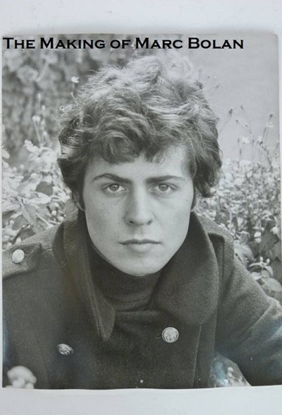 Póster de The Making of Marc Bolan