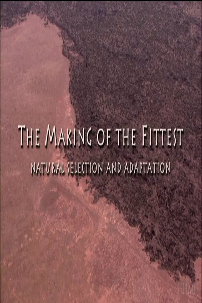 Póster de The Making of the Fittest: Natural Selection and Adaptation