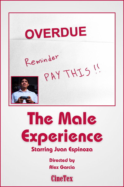 Póster de The Male Experience