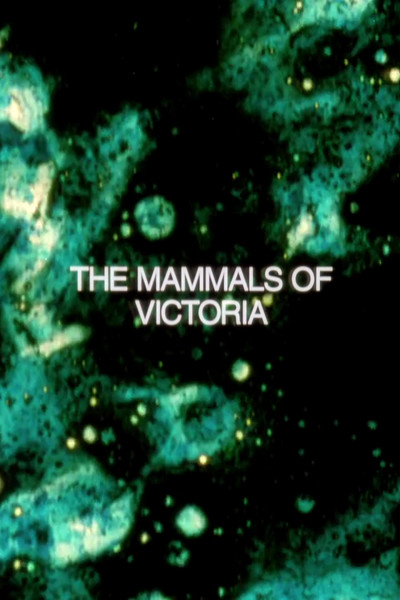 Póster de The Mammals of Victoria