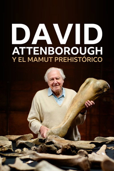 Póster de The Mammoth Graveyard