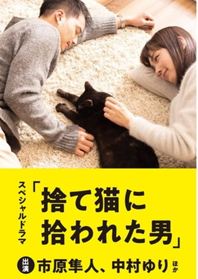 Póster de The Man Who Got Picked Up by a Stray Cat