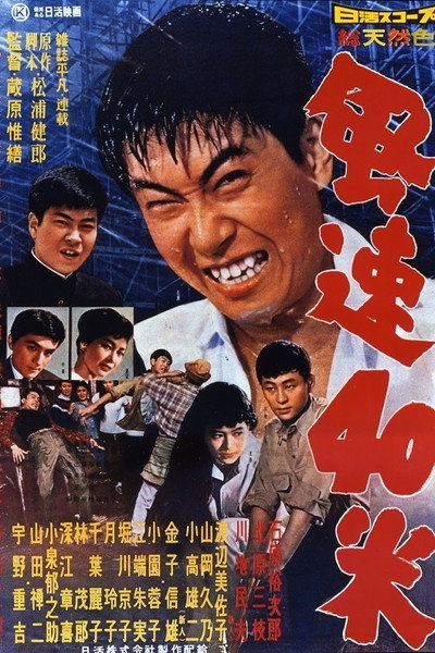 Póster de The Man Who Rode the Typhoon