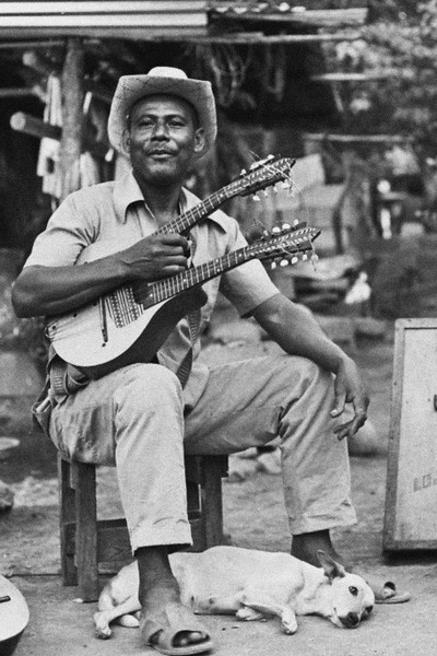 Póster de The Mandolin King