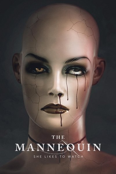 Póster de The Mannequin