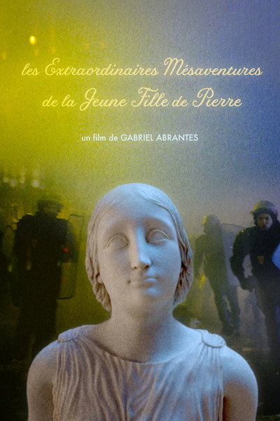 Póster de The Marvelous Misadventures of the Stone Lady