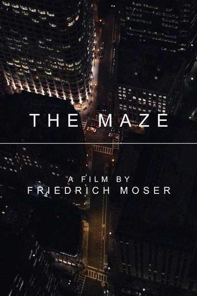 Póster de The Maze