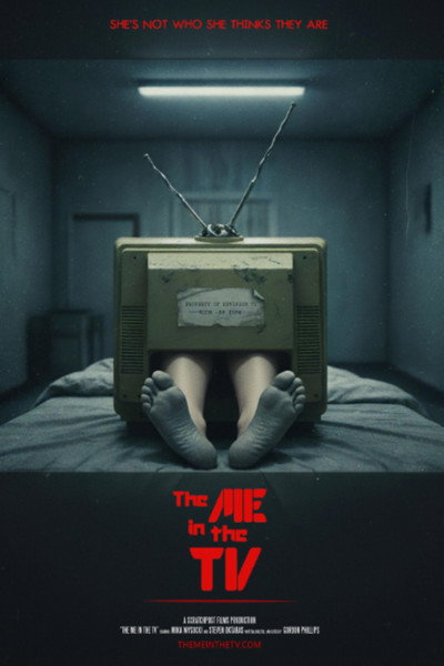 Póster de The Me in the TV