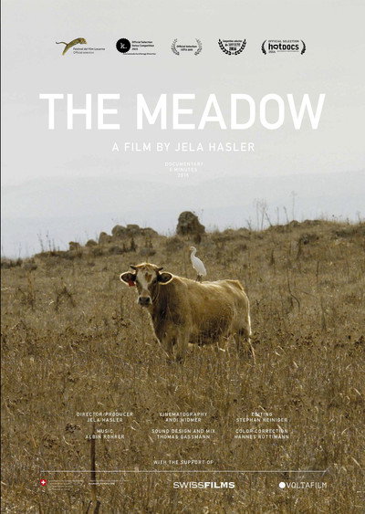 Póster de The Meadow