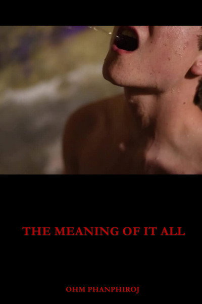 Póster de The Meaning of It All