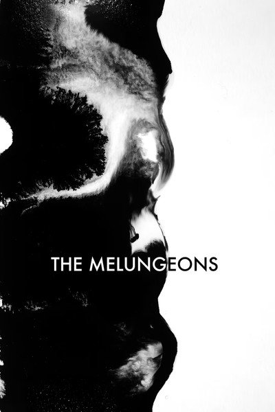Póster de The Melungeons