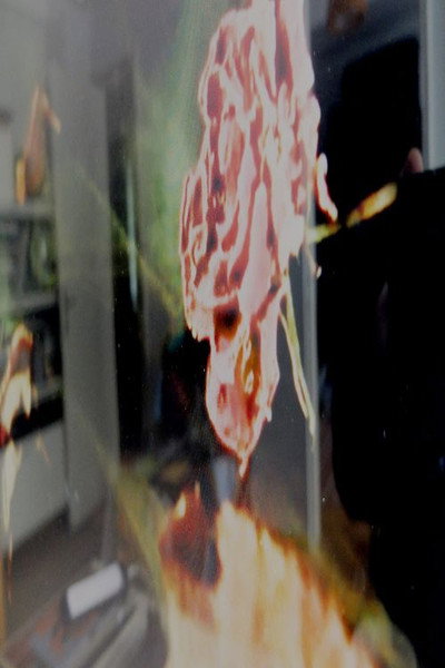 Póster de The Memory of the Rose