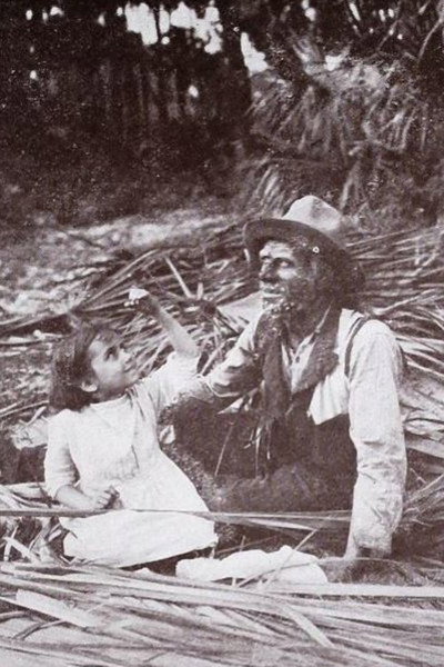 Póster de The Message of the Palms
