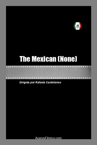 Póster de The Mexican