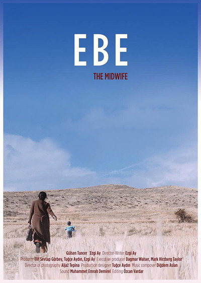 Póster de The Midwife