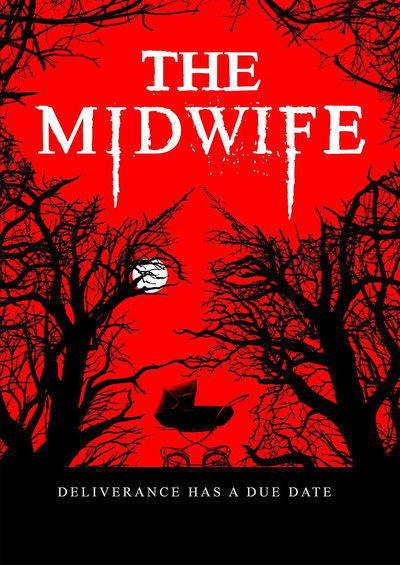 Póster de The Midwife