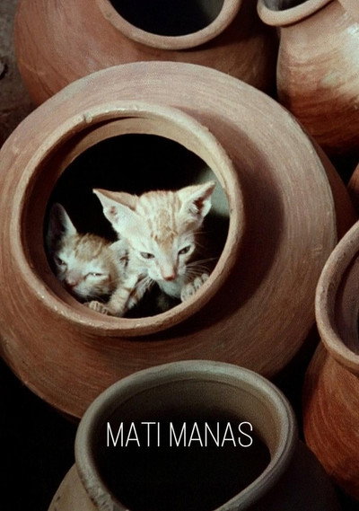 Póster de The Mind of Clay