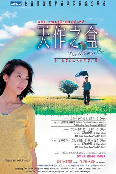 Póster de The Miracle Box