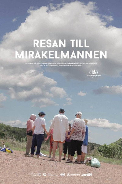 Póster de The Miracle Journey